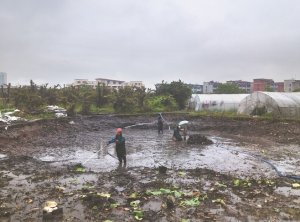 仙桃河道鱼塘清淤
